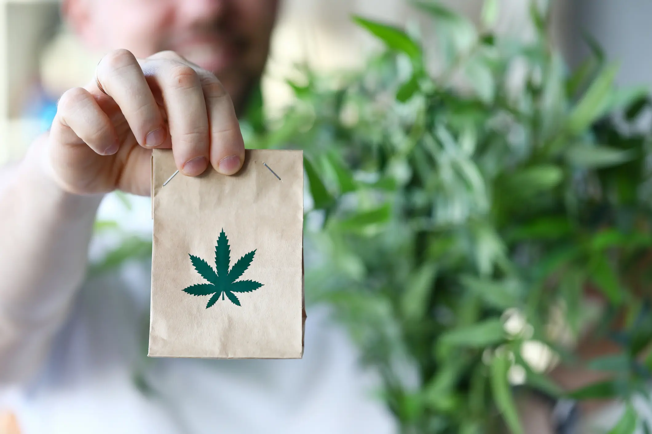 Buy Weed Online Ireland – Strong THC Gummies, Vape Pens & Pre-rolls
